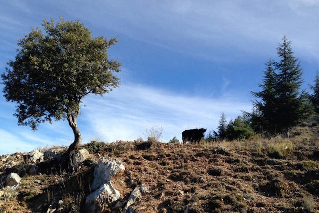 Telecabina Las Catifas Güéjar Sierra Zewnętrze zdjęcie